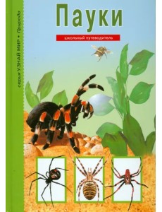 Пауки, клещи, скорпионы