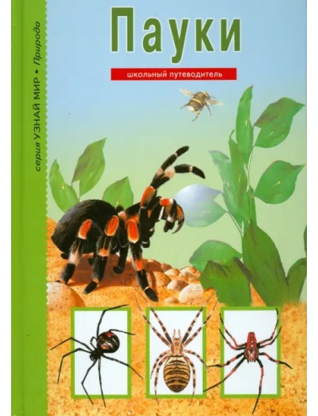 Пауки, клещи, скорпионы