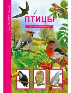 Птицы. Школьный путеводитель