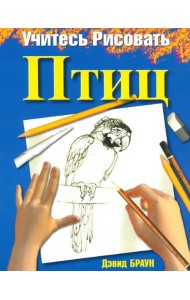 Учитесь рисовать птиц