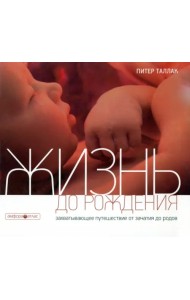 Жизнь до рождения