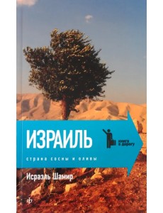 Страна сосны и оливы, или Неприметные прелести Святой земли