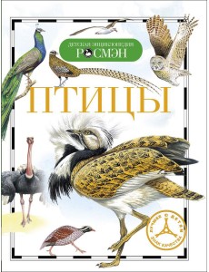 Птицы