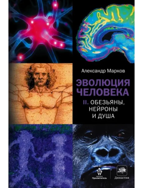 Эволюция человека. В 2 книгах. Книга 2. Обезьяны, нейроны и душа