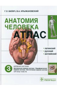 Атлас анатомии человека. В 3-х томах. Том 3