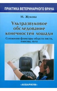 Ультразвуковое обследование конечностей лошади