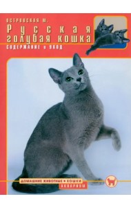 Русская голубая кошка. Содержание и уход