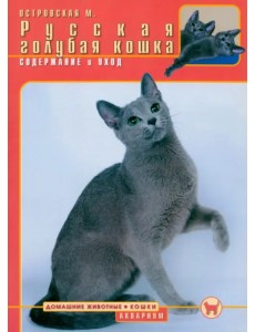 Русская голубая кошка. Содержание и уход Русская голубая кошка. Содержание и уход