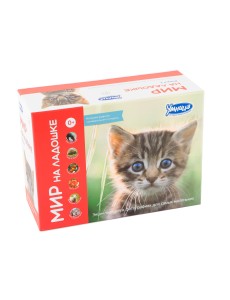 Комплект из шести игр для маленького исследователя 