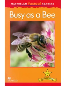 Mac Fact Read. Busy as a Bee Mac Fact Read. Busy as a Bee