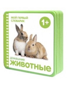 Домашние животные