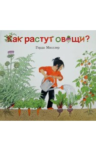 Как растут овощи?