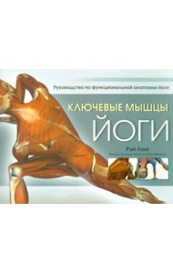 Ключевые мышцы йоги