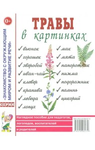 Травы в картинках. Наглядное пособие для педагогов, логопедов, воспитателей и родителей
