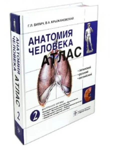 Атлас анатомии человека. В 3-х томах. Том 2