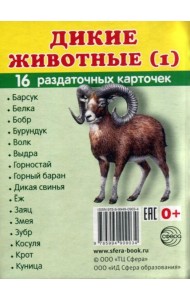 Раздаточные карточки 