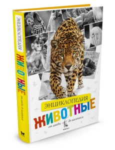 Энциклопедия животных. От амёбы до шимпанзе