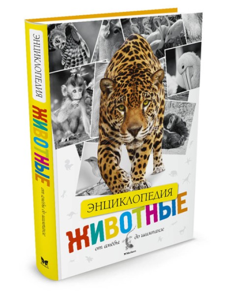 Энциклопедия животных. От амёбы до шимпанзе