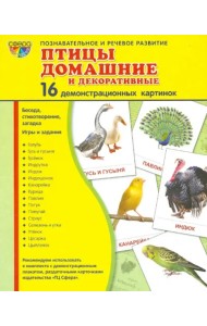 Демонстрационные картинки 