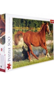 Пазл. Красота галопа, 500 элементов