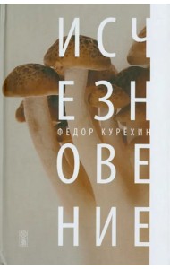 Исчезновение