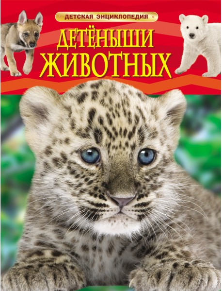 Детёныши животных