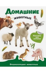 Домашние животные. Энциклопедия животных с наклейками