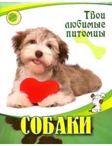 Собаки