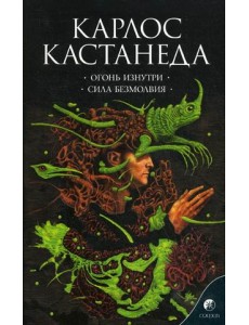 Огонь изнутри. Сила безмолвия. Книга 4