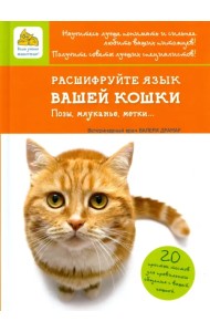 Расшифруйте язык вашей кошки. Позы, мяуканье, метки...