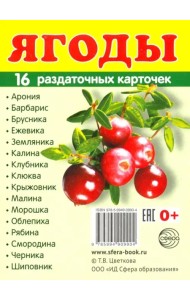 Раздаточные карточки 