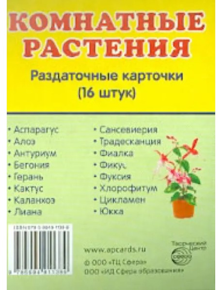 Раздаточные карточки "Комнатные растения" 63х87 мм.