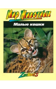 Малые кошки