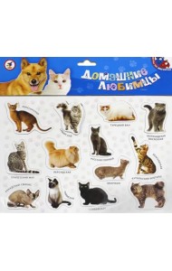 Магнит. Домашние любимцы