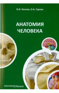 Анатомия человека. Краткий курс