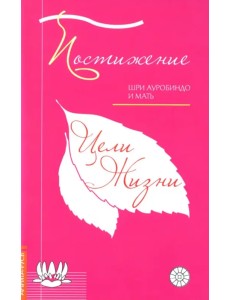 Постижение цели жизни Постижение цели жизни