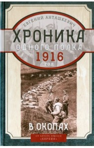 В окопах. 1916 год. Хроника одного полка