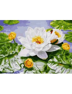 Живопись на холсте "Нимфея озерная", 30х40 см Живопись на холсте "Нимфея озерная", 30х40 см