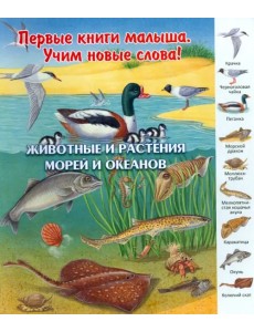 Животные и растения морей и океанов. Виммельбух