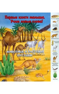 Животные и растения пустыни. Виммельбух