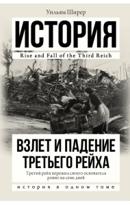 Взлет и падение Третьего Рейха. История в одном томе