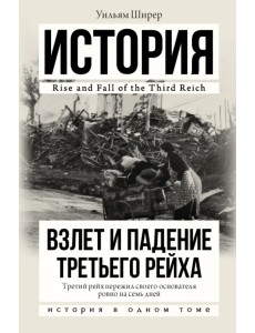 Взлет и падение Третьего Рейха. История в одном томе