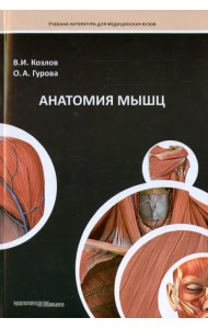 Анатомия мышц. Учебное пособие