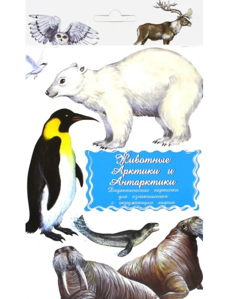 Дидактические карточки "Животные Арктики и Антарктики"