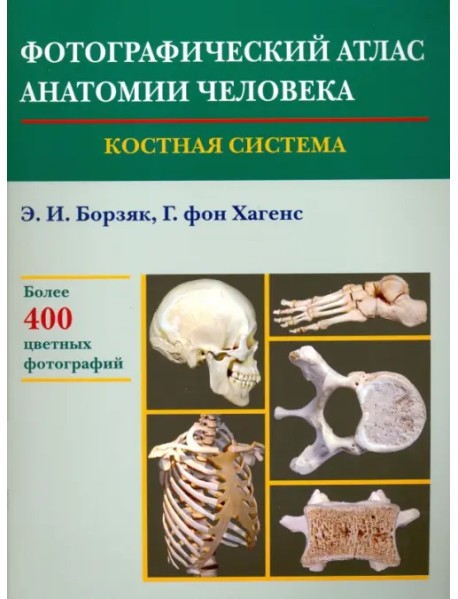 Фотографический атлас анатомии человека. Костная система