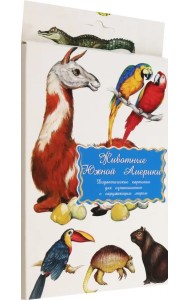 Дидактические карточки. Животные Южной Америки