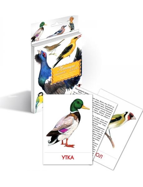 Дидактические карточки. Птицы наших лесов