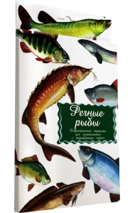 Дидактические карточки. Речные рыбы