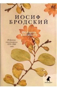 Полдень в комнате