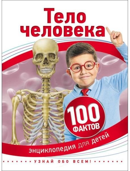 Тело человека